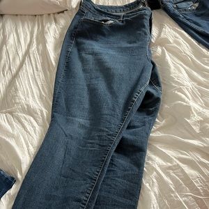 Plus size 24 Torrid skinny jean